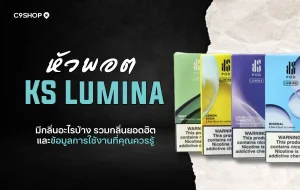 หัวพอต KS Lumina มีกลิ่นอะไรบ้าง รวมกลิ่นยอดฮิตที่ต้องลอง
