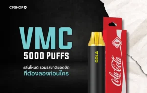 VMC 5000 Puff กลิ่นไหนดี กลิ่นไหนโดนใจสายหวาน สายเย็น