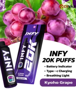 พอต INFY 20K Puffs กลิ่นองุ่นเคียวโฮ หอมเข้ม สไตล์องุ่นญี่ปุ่น